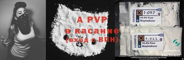 a pvp Бородино